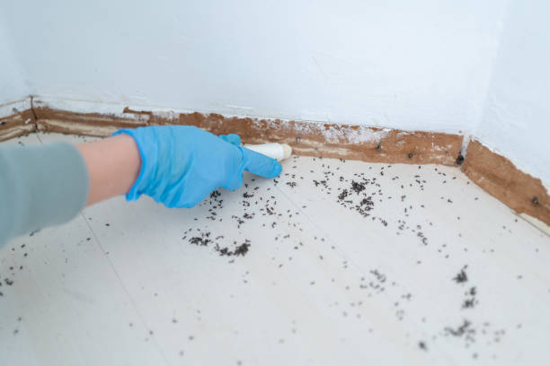 Best Pest Exclusion Services  in Indian River, MI